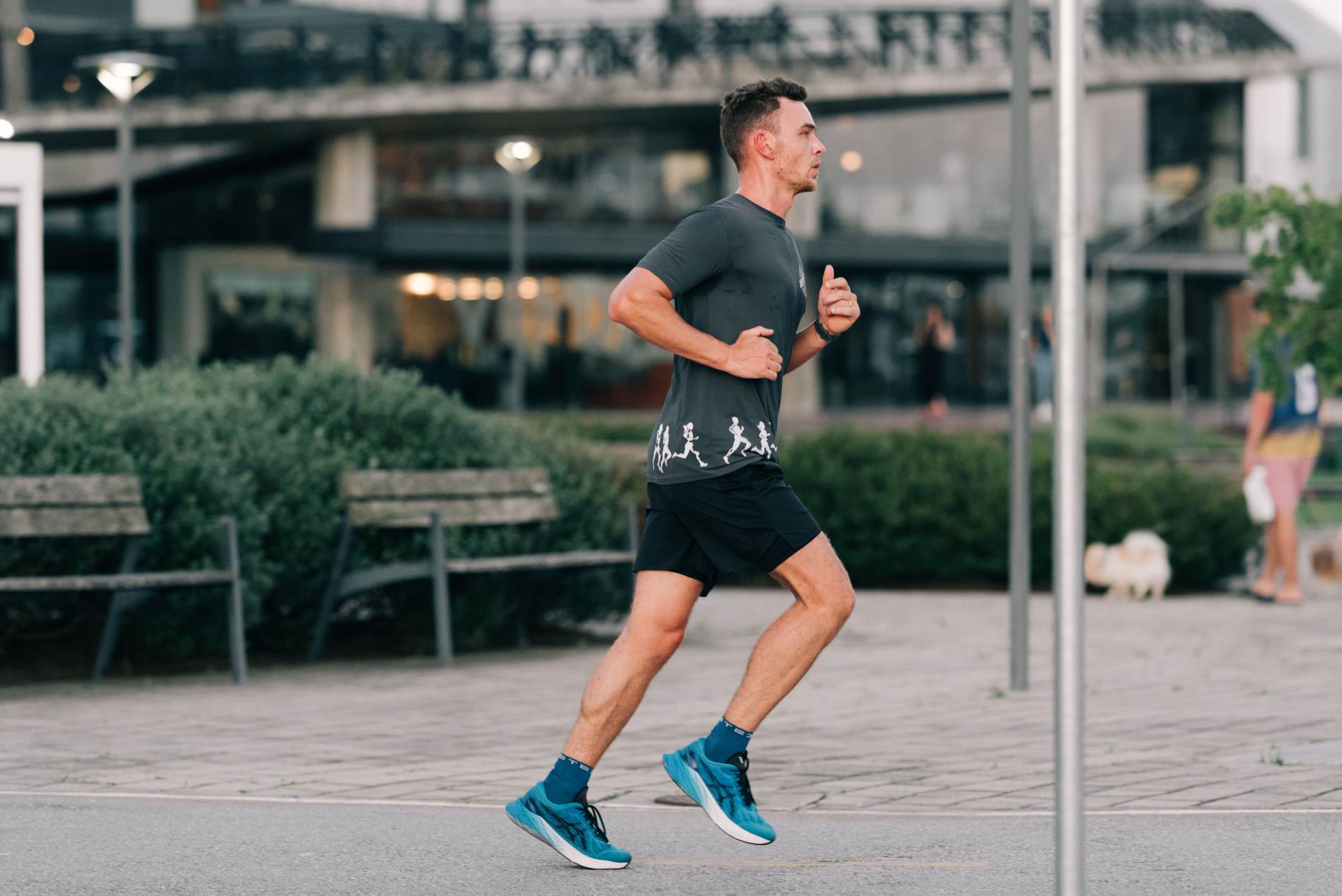 Os 12 princípios que norteiam